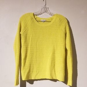 Bright and Sunny Gap Sweater NWOT Size Small